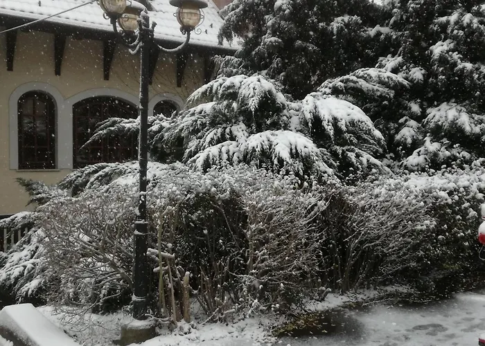Peregrino Panzio Bed & Breakfast 3*