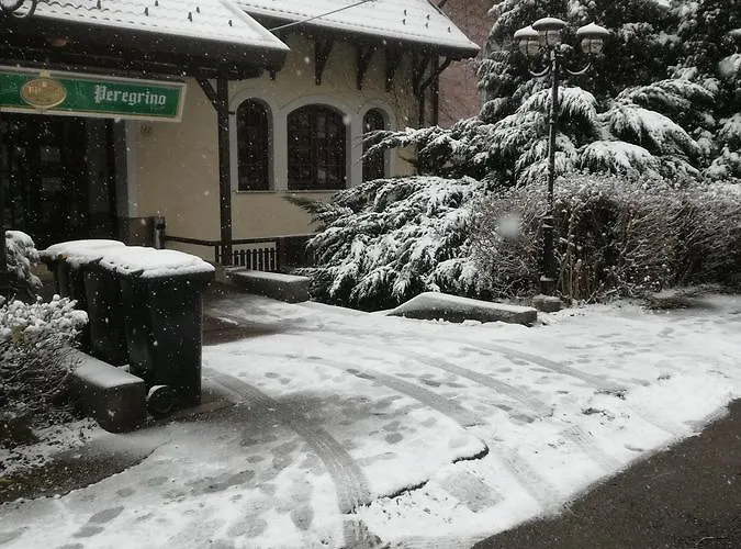 Bed & Breakfast Peregrino Panzio Budaörs